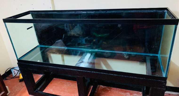 140 gallon fish tank!!!