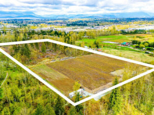 18.37 ACRES – BLUEBERRY FARM AND ACREAGE