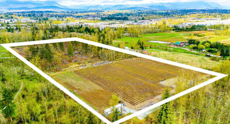 18.37 ACRES – BLUEBERRY FARM AND ACREAGE