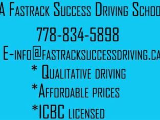 DRIVING INSTRUCTORS/CALM & PATIENT-LEARN DRIVING SKILLS-CALL NOW