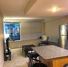 One bedroom Fully Furnished Suite for Rent at SFU