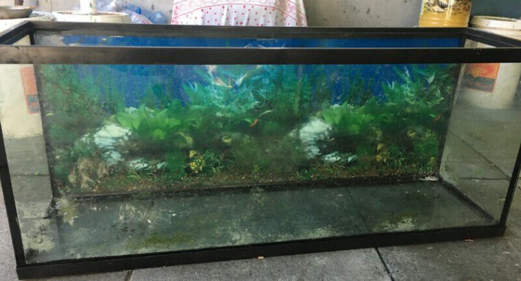 Aquarium/Fish tank