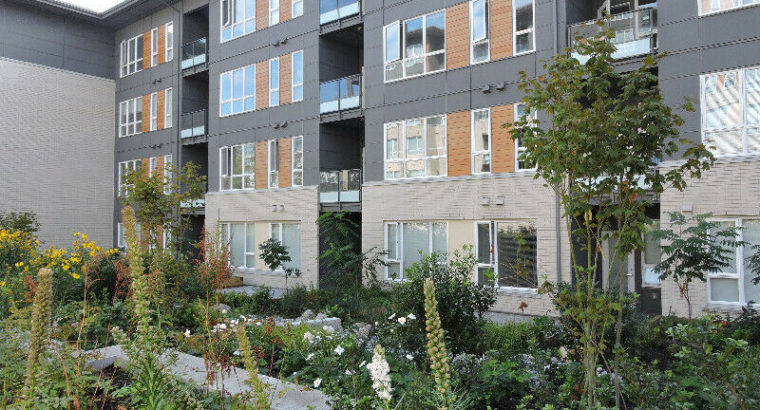 Brand-new 2 bed, 2 bath condo near Simon Fraser University