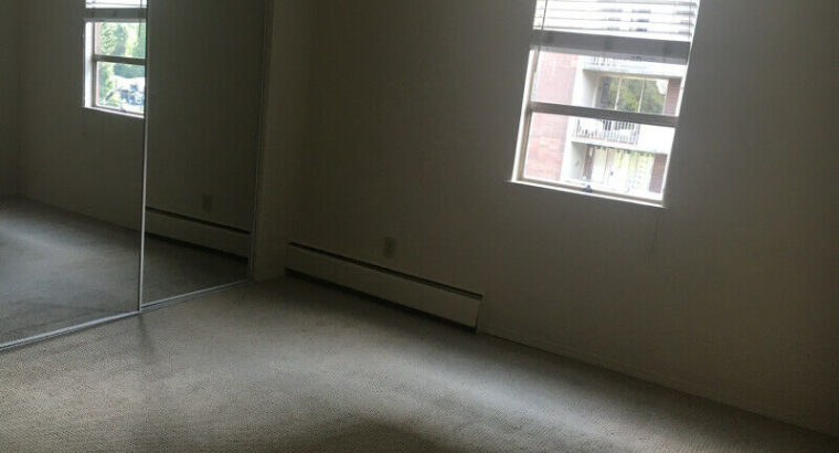 Two bedroom, 1.5 bath apartment for rent