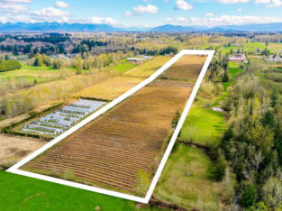 19.85 ACRES – BLUEBERRY FARM AND READY TO BUILD HOUSE