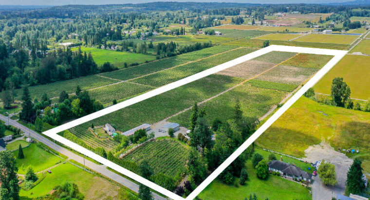 40 ACRES WITH 2 HOUSES AND BLUEBERRY FARM