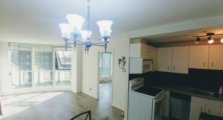 Coal Harbour 1 Bedroom Condo Den, Parking, & Storage, Pool, Gym