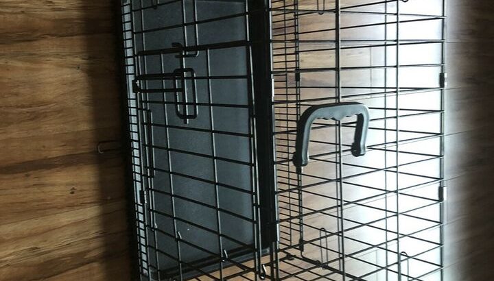 Folding Doubles-door dog metal crate cage