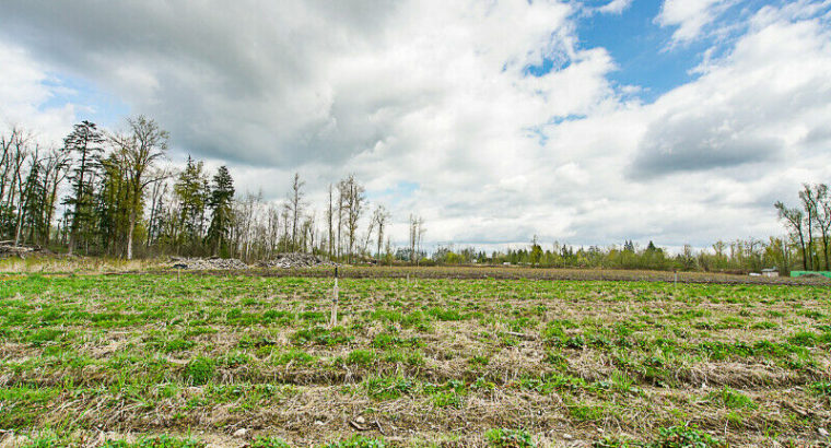 18.37 ACRES – BLUEBERRY FARM AND ACREAGE