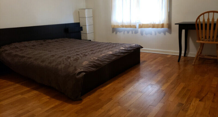 Oakridge Oasis Large Bedroom for Rent Available Now.