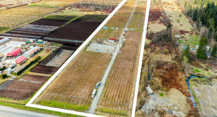 19.85 ACRES – BLUEBERRY FARM AND READY TO BUILD HOUSE