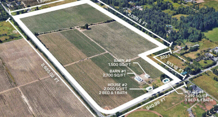 75.24 HIGH PRODUCING BLUEBERRY FARM