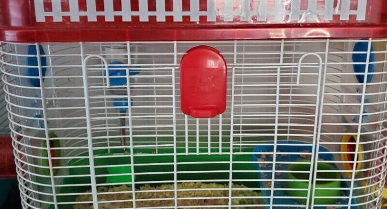 two gerbils with cage