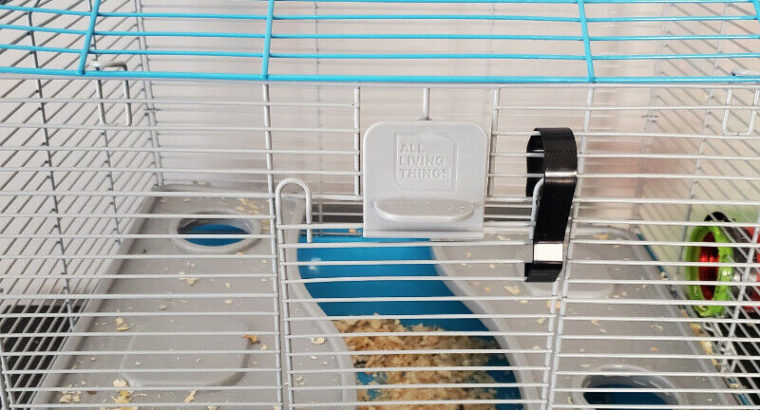 two gerbils with cage