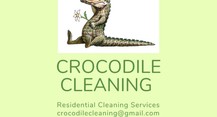 House cleaning service