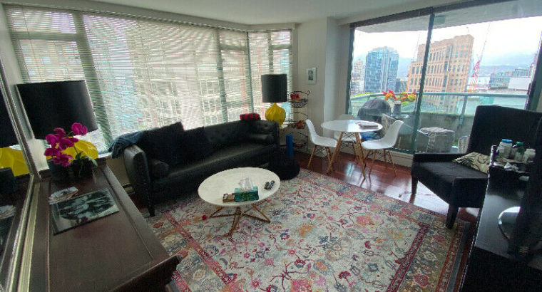 Beautiful Private Room with City View Short-Term