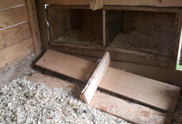 Chicken coop with nest boxes.