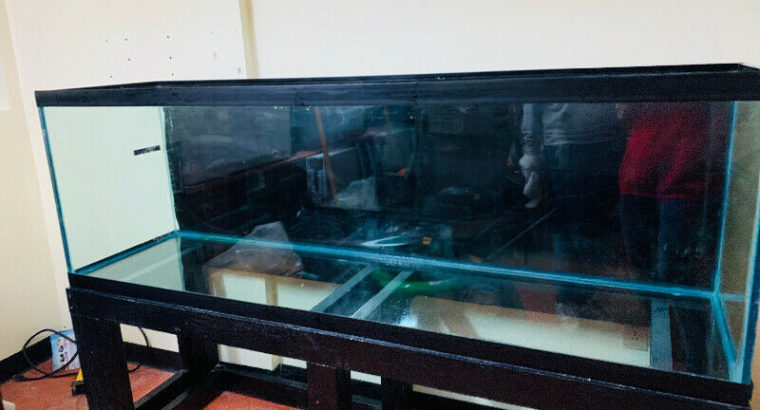 140 gallon fish tank!!!