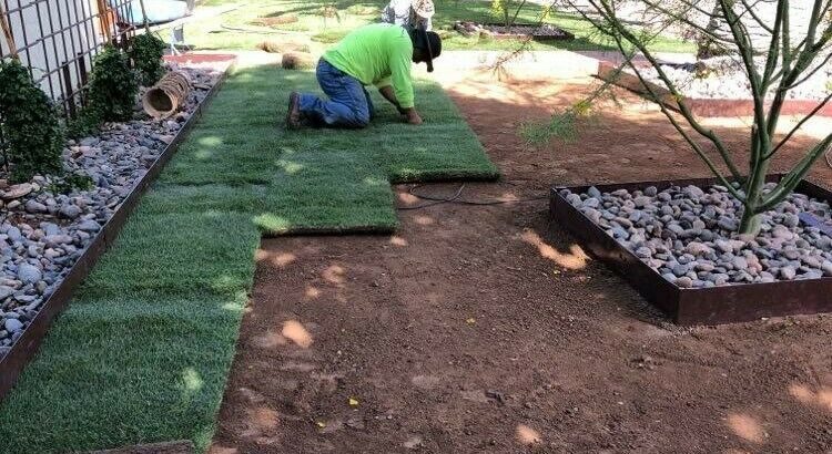 Landscaping Maintenance & Lawn Care Service.
