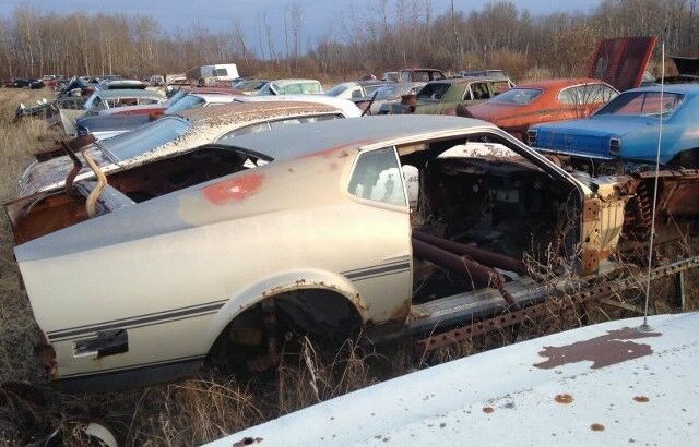 64-74 Ford mustang torino etc parts or project cars