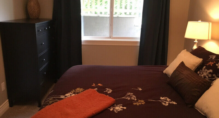 Fully furnished suite in East Abbotsford