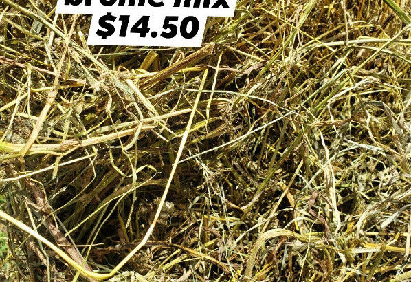 Alfalfa grass mix