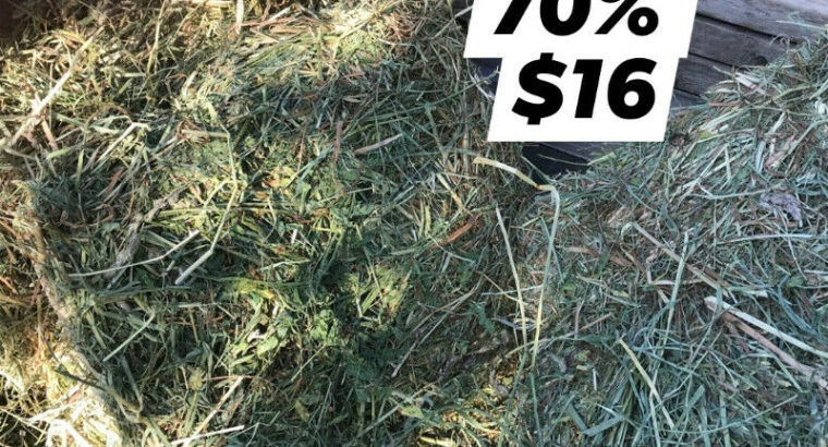 Alfalfa grass mix