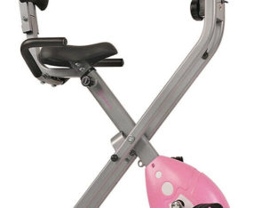 Sunny Folding Recumbent Exercise Bike with Padded Seat Cover