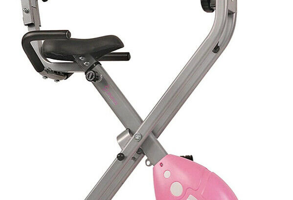 Sunny Folding Recumbent Exercise Bike with Padded Seat Cover