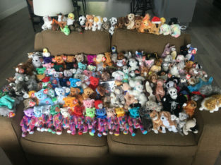 TY Beanie Baby and Buddy Collection