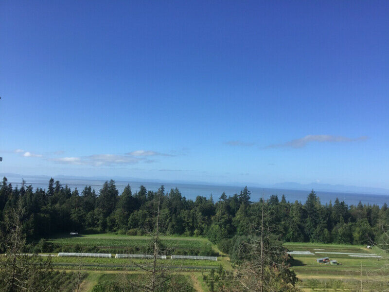 UBC brandnew oceanview two bed room apartment