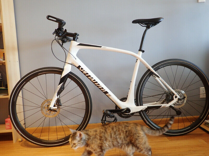 Fitness Hybrid Bike, Specialized Sirrus, L, Hydraulic Brakes