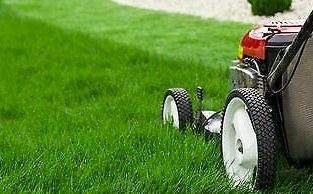Lawn Mower And Small Engine Repair