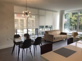 RIVER DISTRICT-NEW 2 Bed 2 Bath Suite-ROOMMATE WANTED /Vancouver