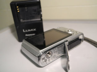 Panasonic Lumix DMC-FX01 Digital Camera