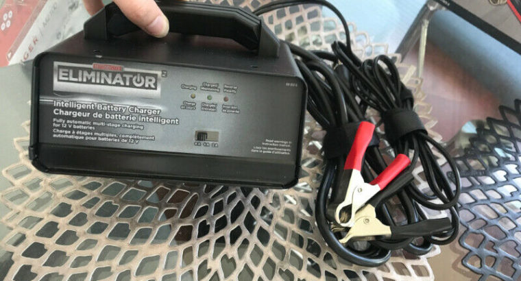MotoMaster Eliminator Intelligent Car Battery Charger, 6/4/2A