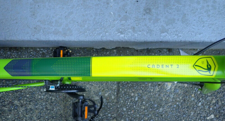 Raleigh Cadent 2, City Bike, XL, Shimano 3×8, Disc Brakes, Green