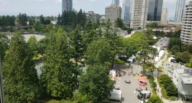 Cozy furnished condo at Metrotown with park view