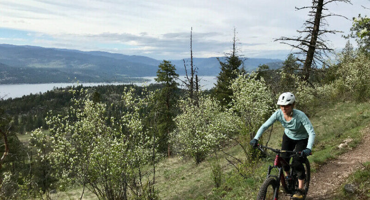 Mountain Bike Guide – Squamish