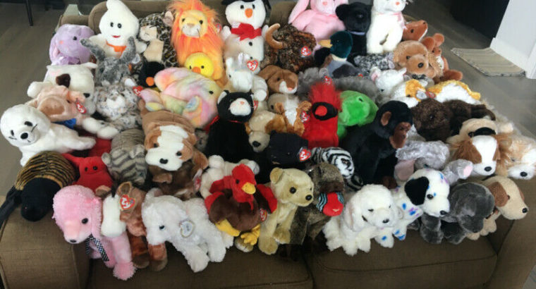 TY Beanie Baby and Buddy Collection