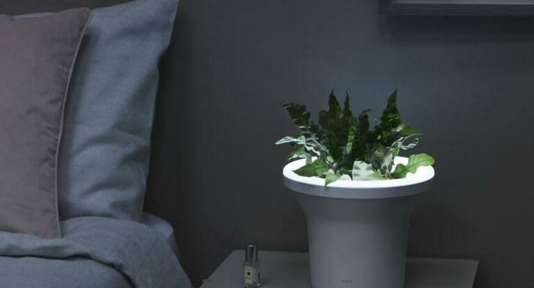 Ora Illuminated Planter