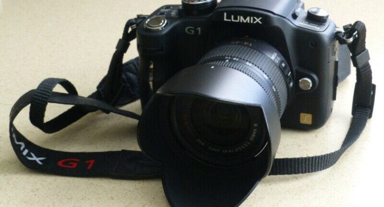 Panasonic G1 Lumix Digital Four -Thirds Camera