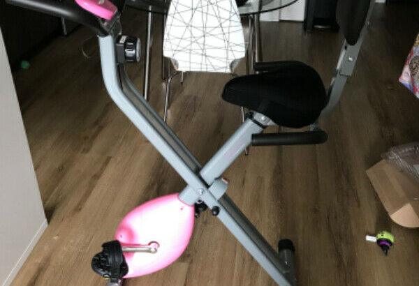 Sunny Folding Recumbent Exercise Bike with Padded Seat Cover