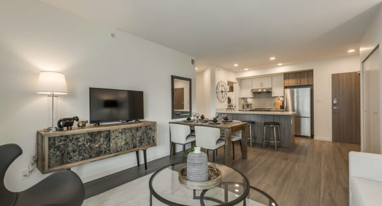 Brand New Rentals in New Westminster! Direct Access to SkyTrain!