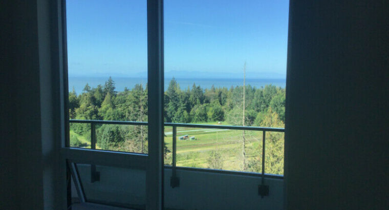 UBC brandnew oceanview two bed room apartment