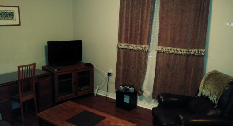 1br – Furn. bright renovated 1 bedroom in Central location