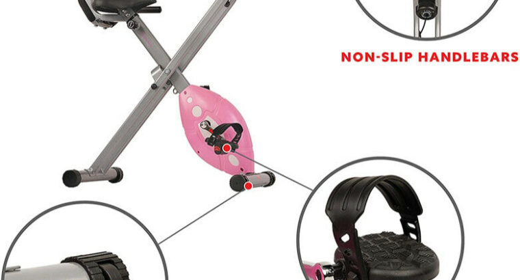 Sunny Folding Recumbent Exercise Bike with Padded Seat Cover