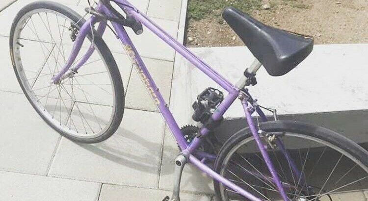 Wanted: STOLEN purple KUWAHARA bike