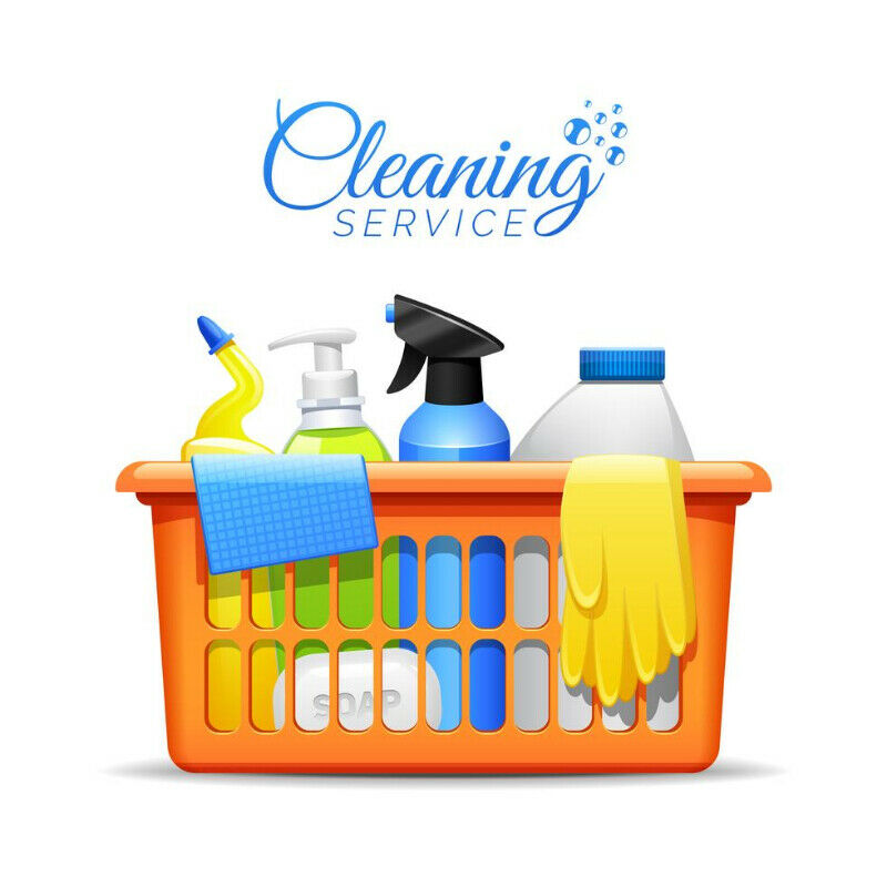 CLEANING SERVICES $25/hr CALL 306-501-9156