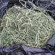 **** TIMOTHY HAY $1 CHEAP Fresh Cut Timothy Hay FREE DELIVERY